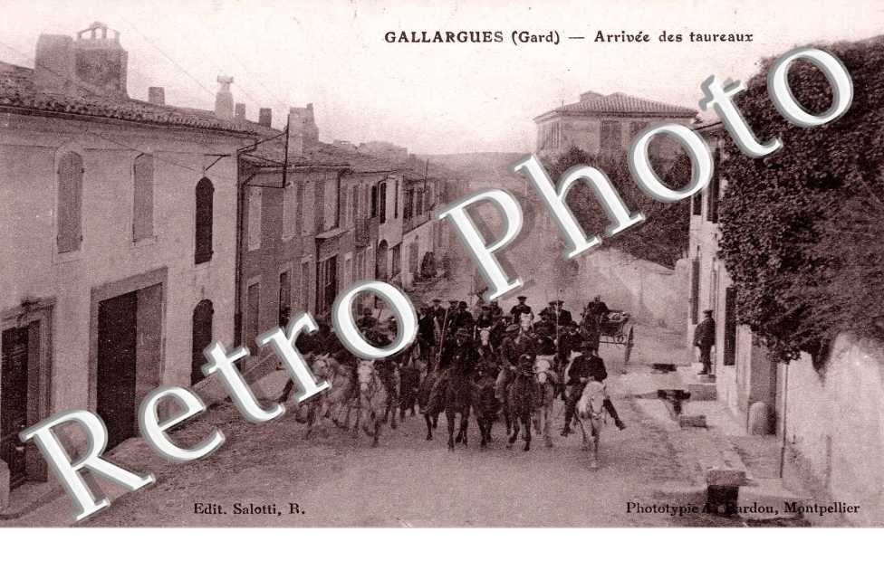 arrivee des taureaux