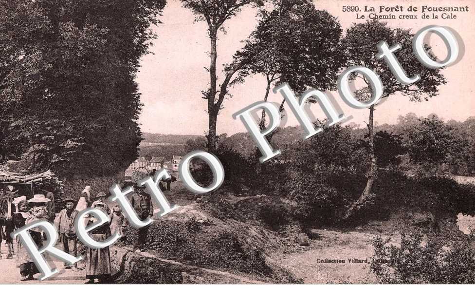 Le chemin creux de la Cale