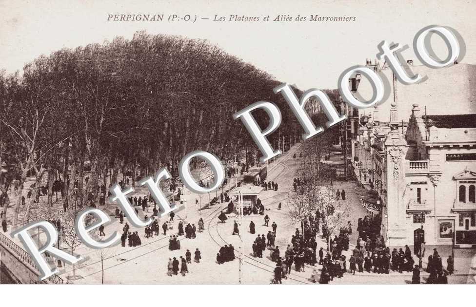 les platanes et allee des maronniers