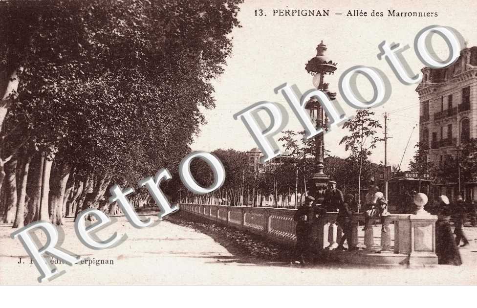 allee des marronniers