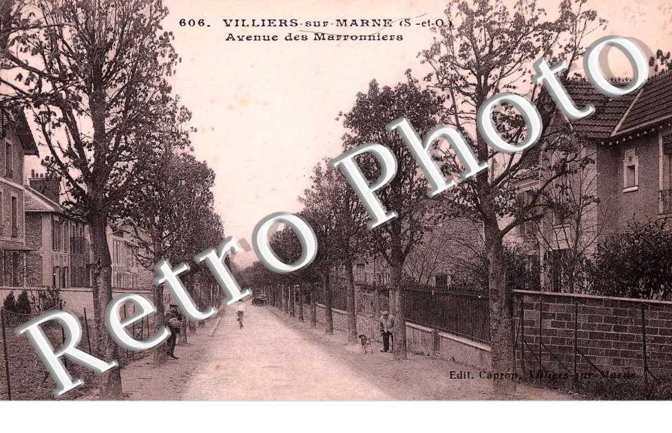 Avenue des Maronniers