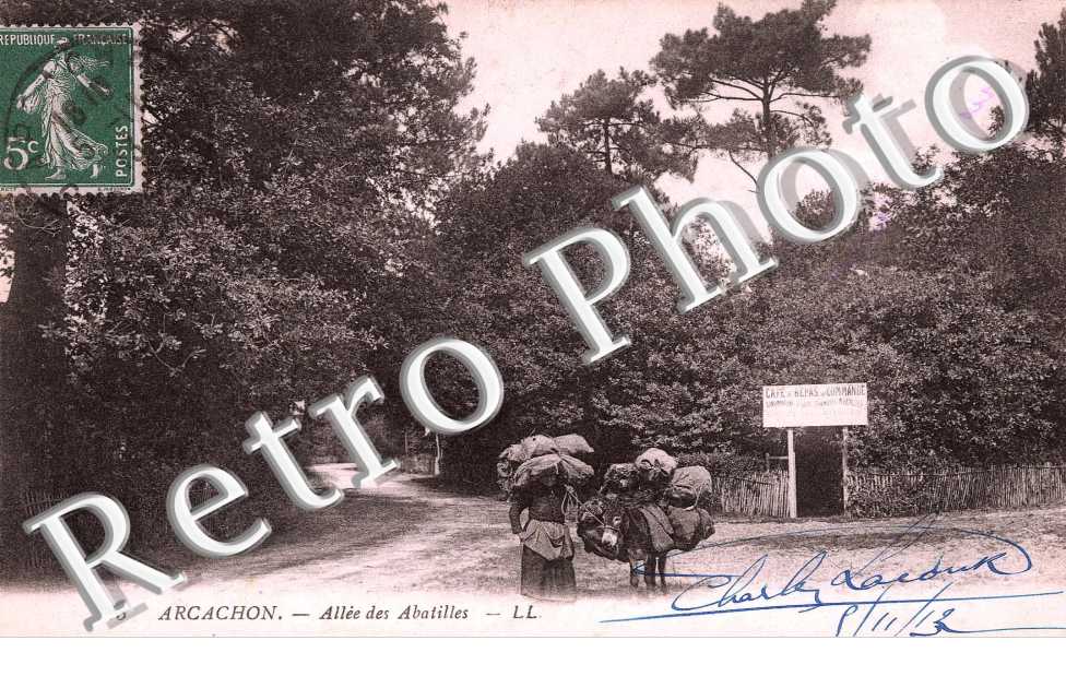 Allee des Abatilles