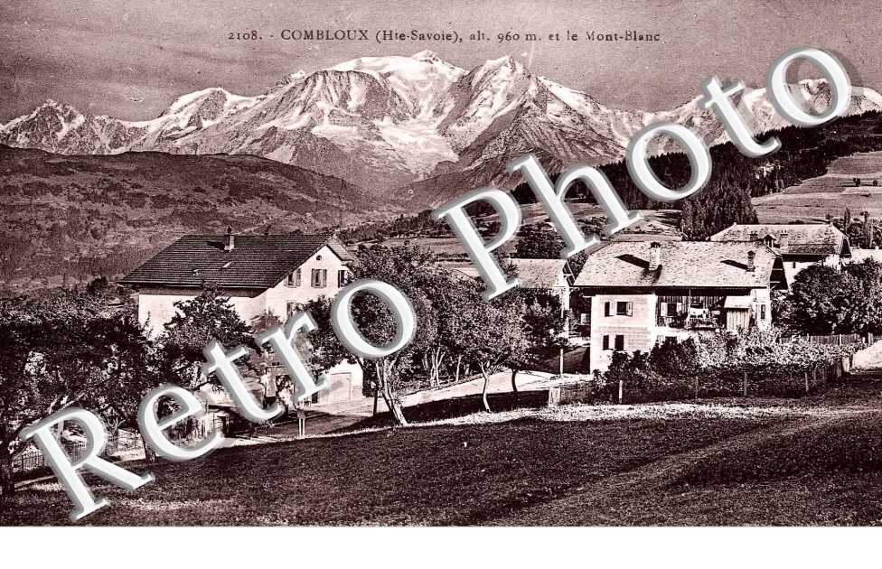 Vue generale et le Mont Blanc