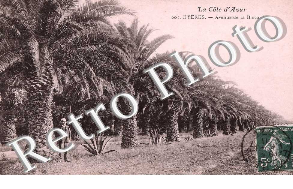 Avenue de la Biocarde