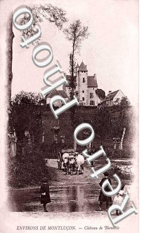 CHATEAU DE BIENASSIS