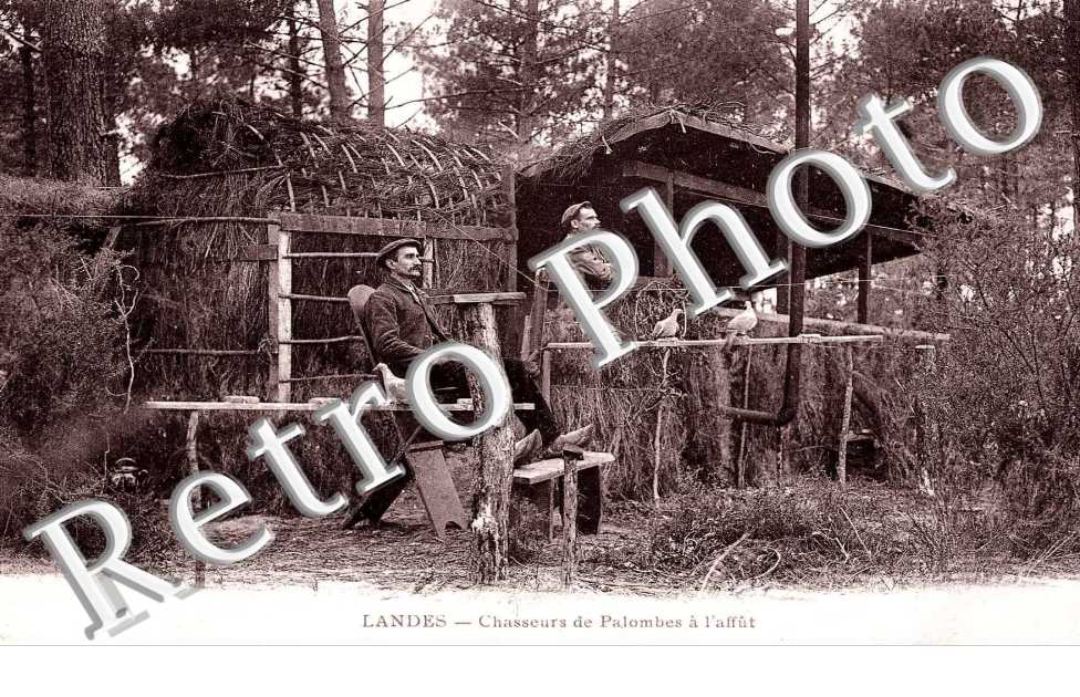 Chasseurs de Palombes à l&#039;Affût