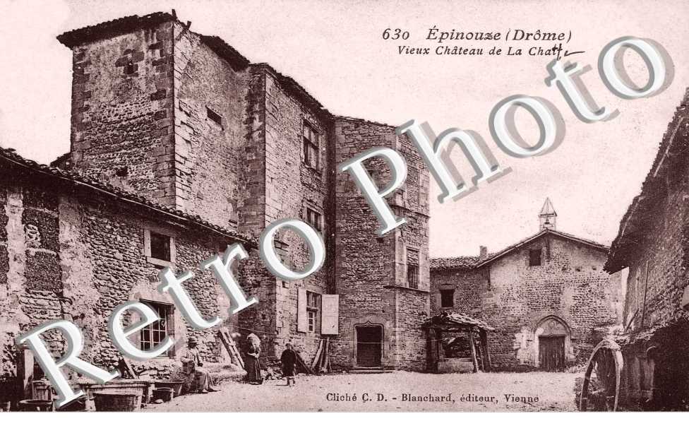 Vieux chateau de la Chatte