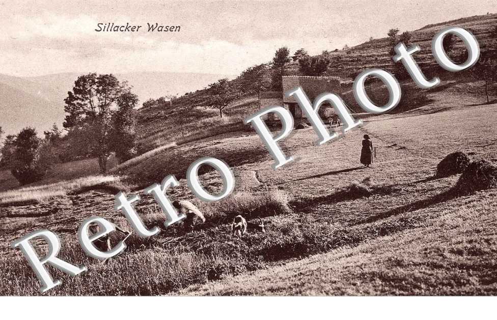 Sillacker Wasen