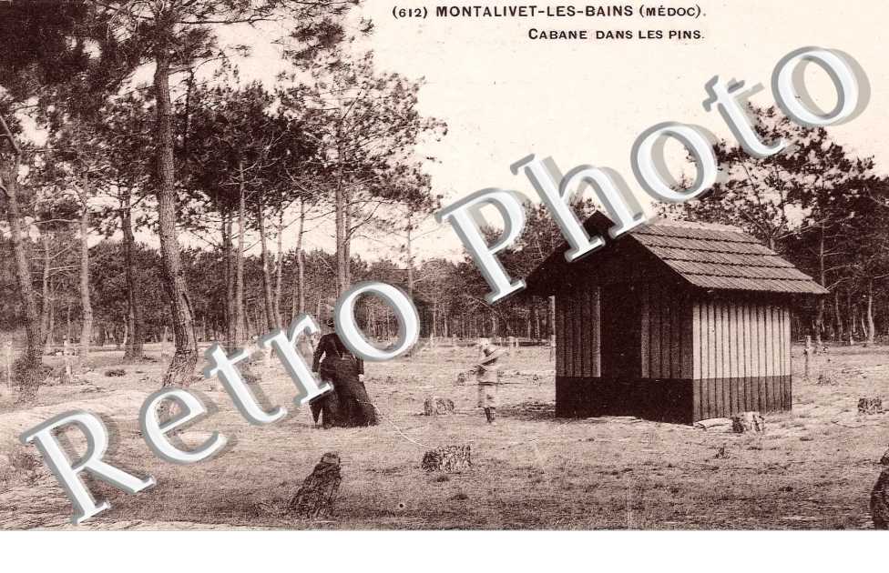 Cabane dans les pins