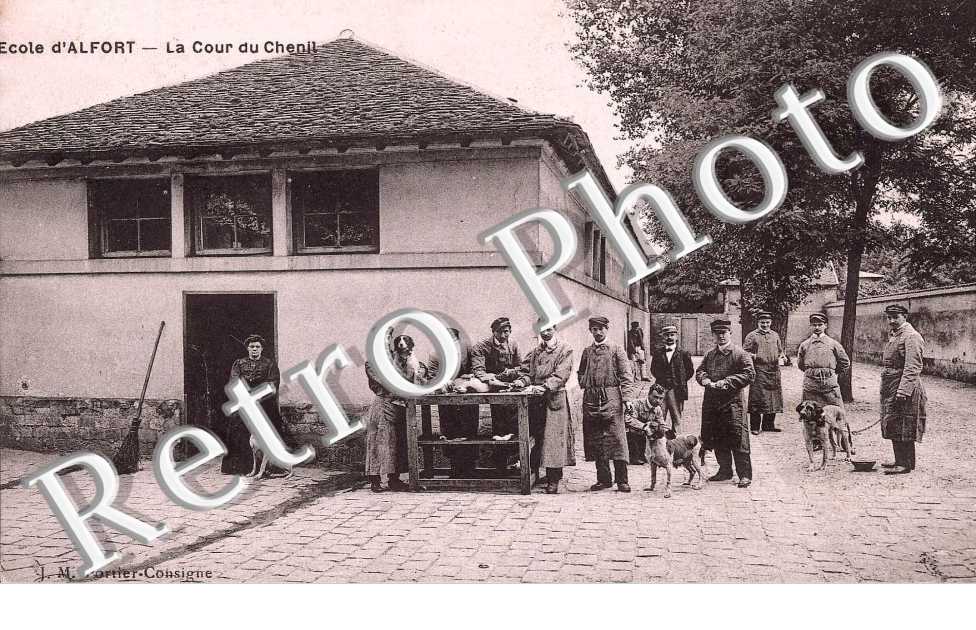 ECOLE D'ALFORT LA COUR DU CHENIL