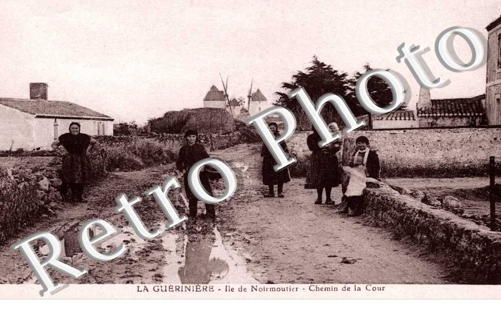 La Gueriniere - Chemin de la Cour