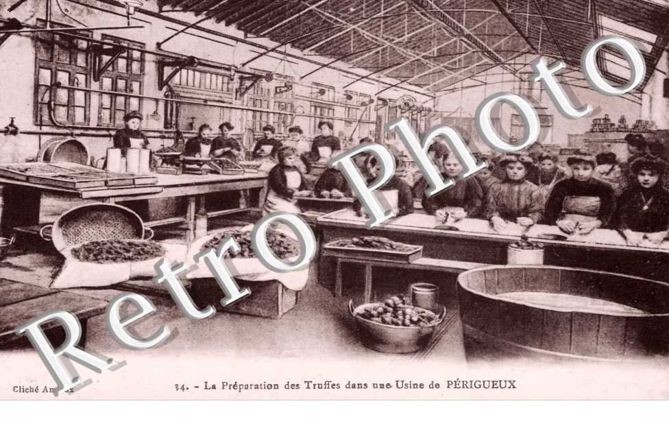 la preparation des truffes dans une usine