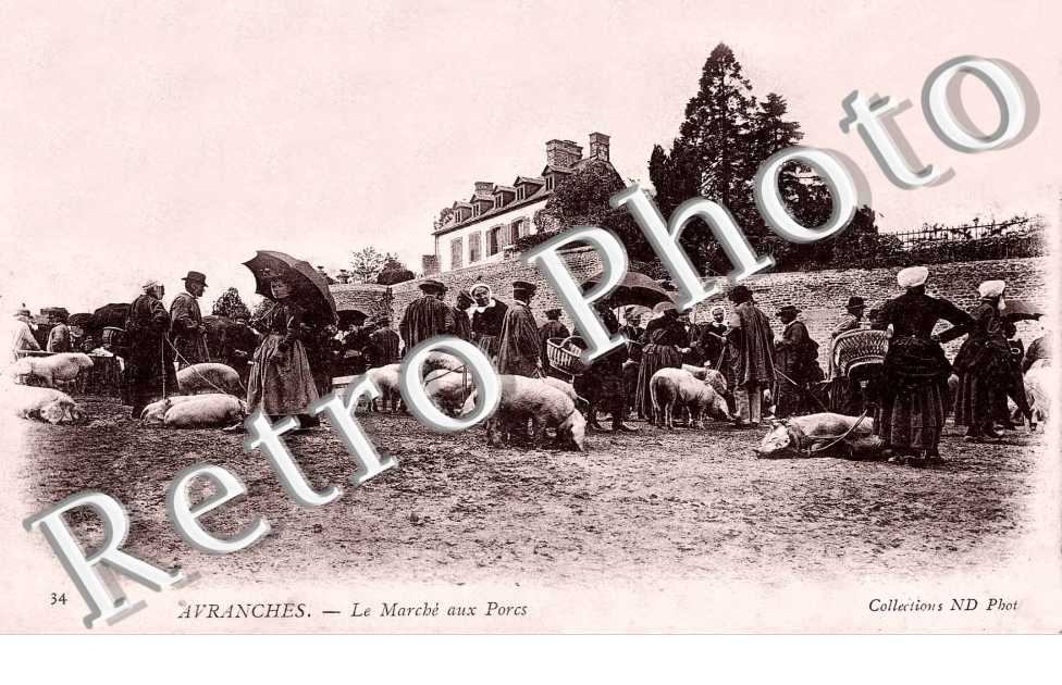 Le marche aux porcs