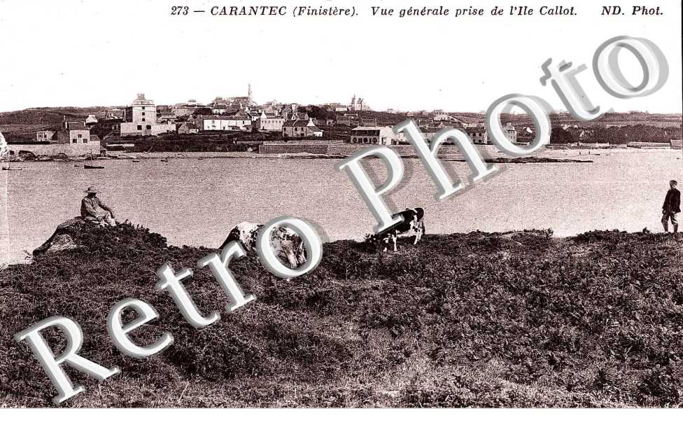 vue generale prise  DE L&#039;ILE CALLOT