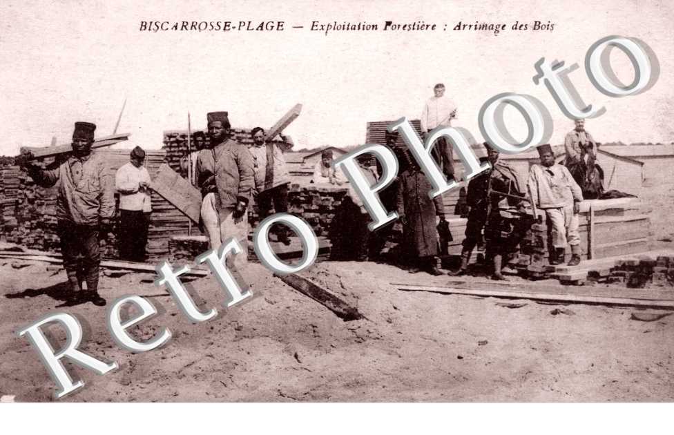 Exploitation forestiere : arimage des bois