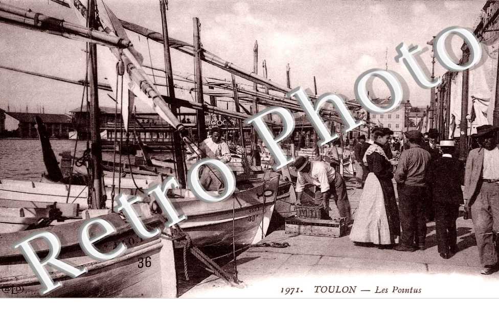 LE POINTU