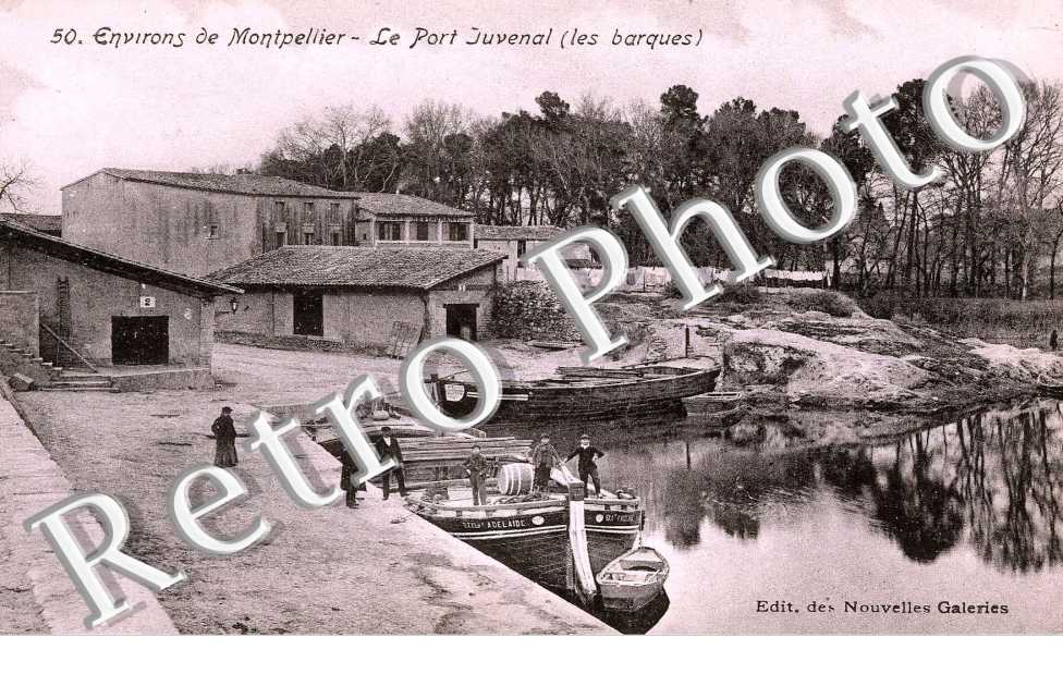 Le port Juvenal (les barques)