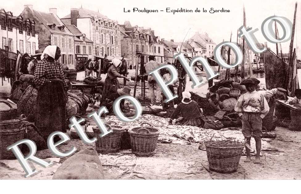 expedition de la sardine