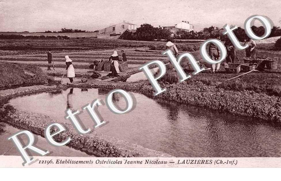Lauzieres - Etablissement ostreicoles Jeanne Nicoleau