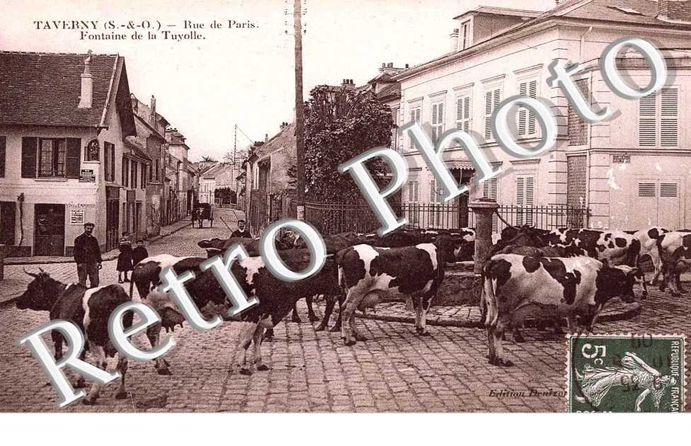 rue de Paris-  Fontaine de Tuyolle - elevage