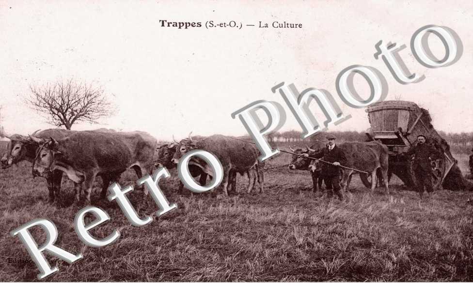 La culture - agriculture