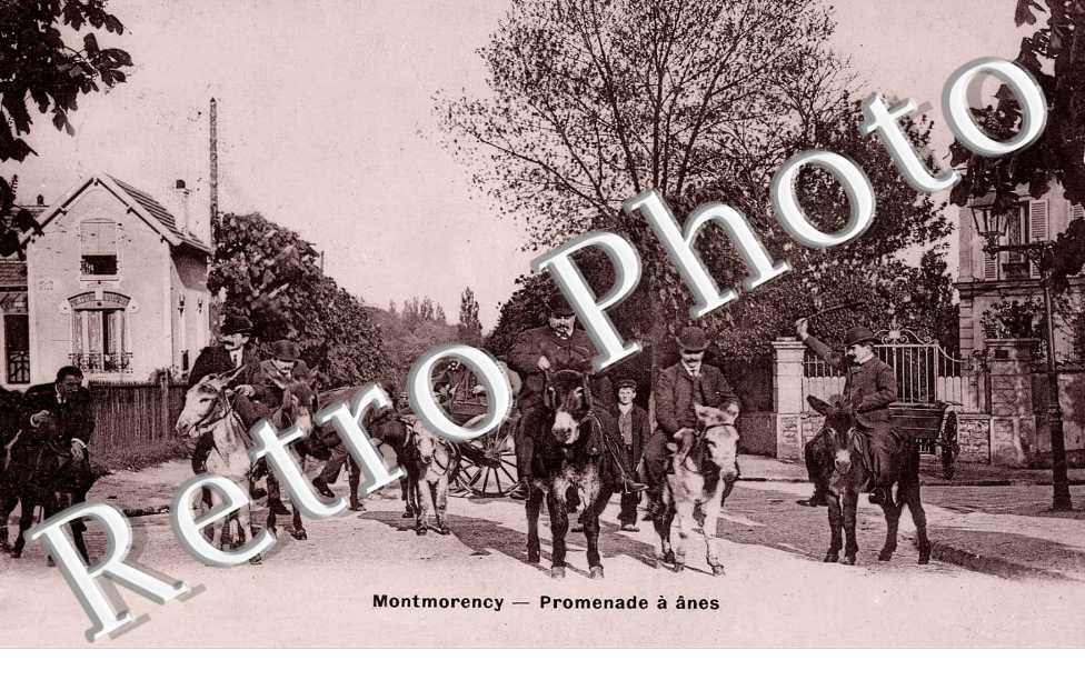 Promenade a anes  