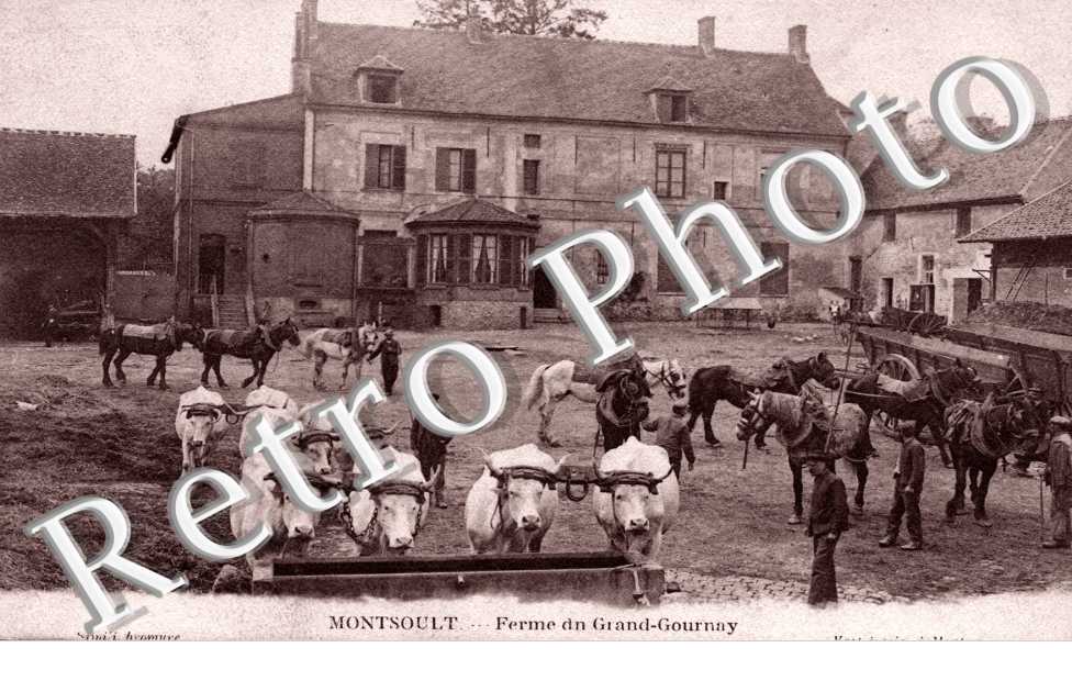 Ferme du grand Gournay - elevage