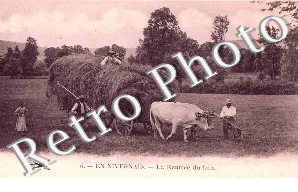 la rentree du foin
