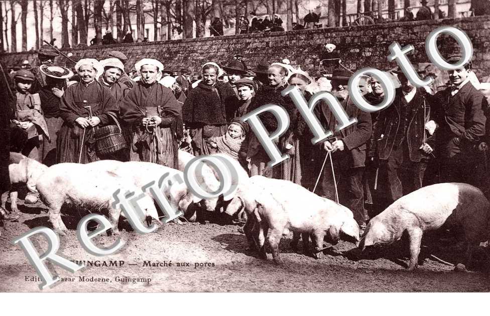 marche aux porcs