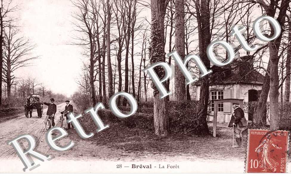 la foret