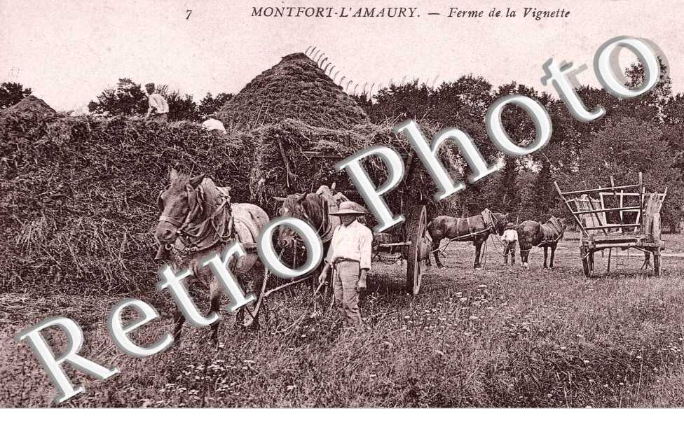 ferme de la Vignette
