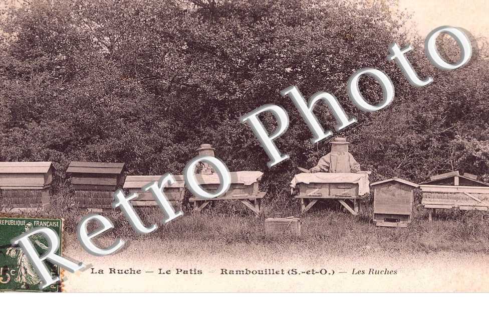 La Ruche, le Patis, les Ruches