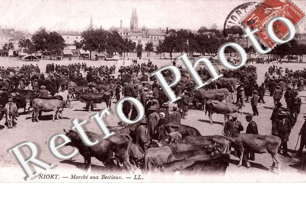 UN MARCHE AUX BESTIAUX