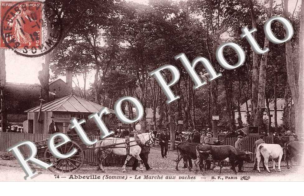 Le marche aux  vaches - attelages de cheval (elevages)