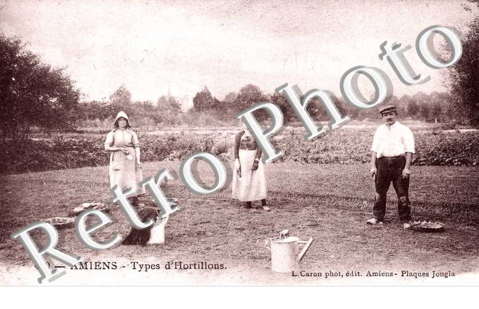 Type d&#039;hortillons