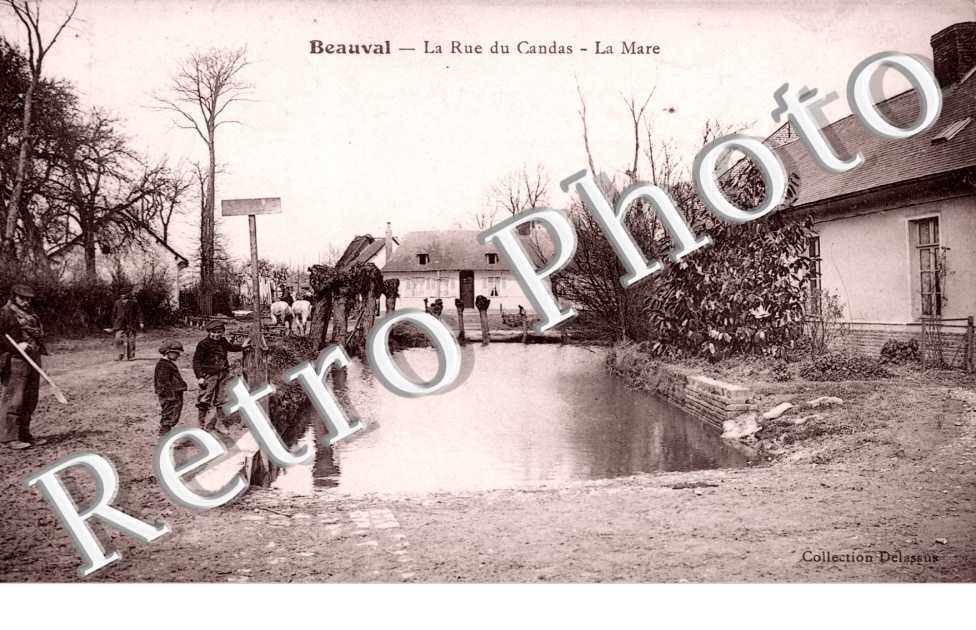 La rue du Candas - La mare