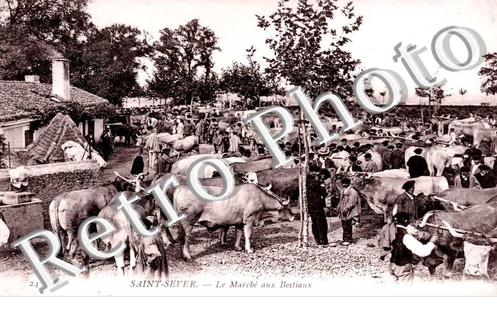 LE MARCHE AUX BESTIAUX