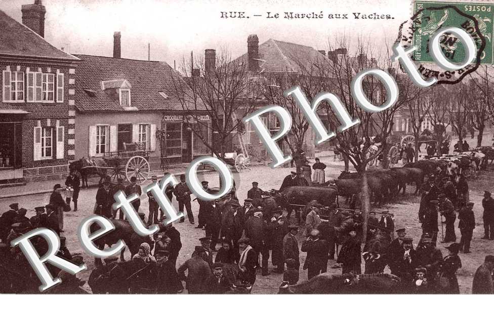 Le marche aux vaches