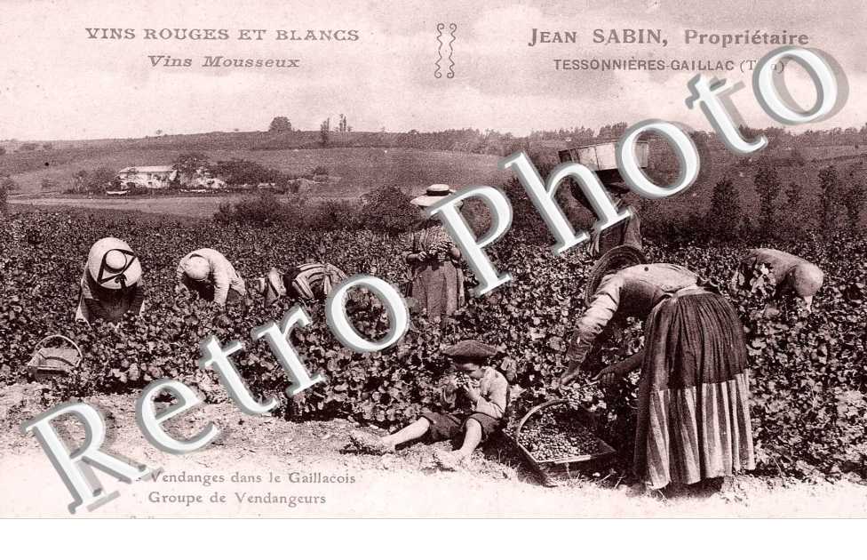 Groupe de Vendangeurs - Jean Sabin Proprietaire