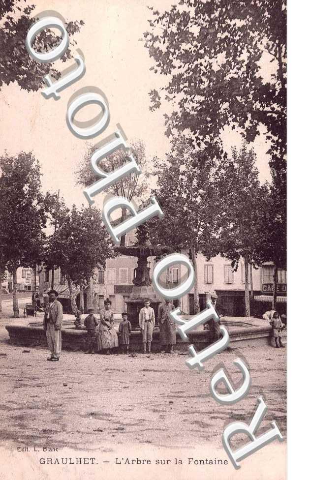 L'arbre sur la Fontaine