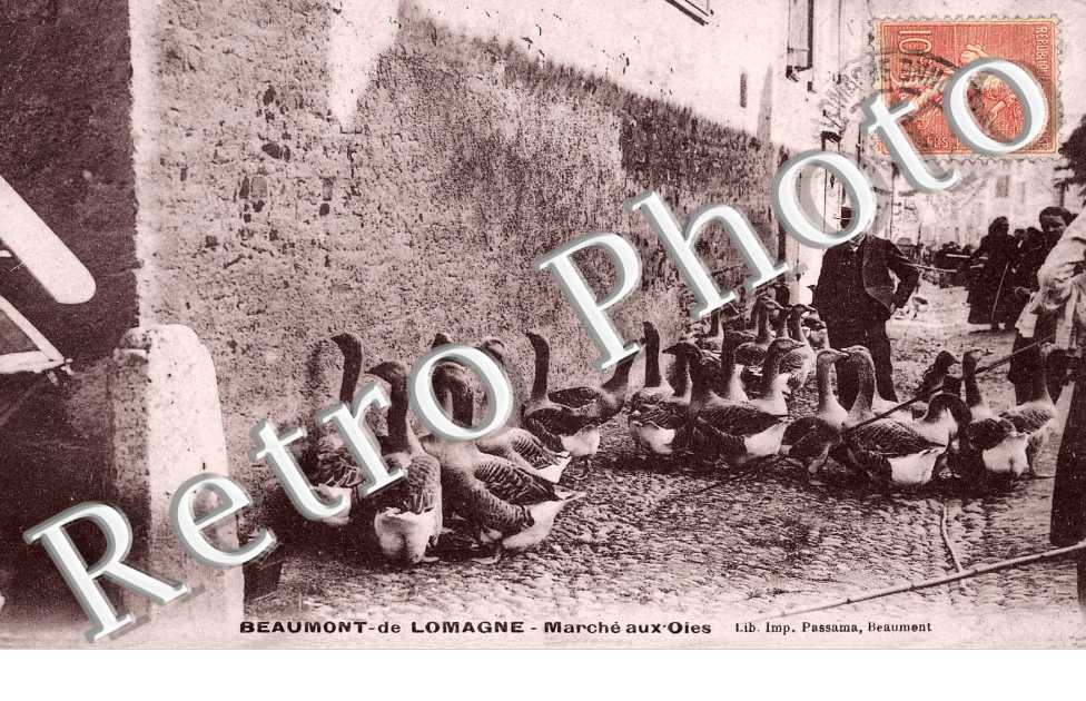 Marche aux Oies