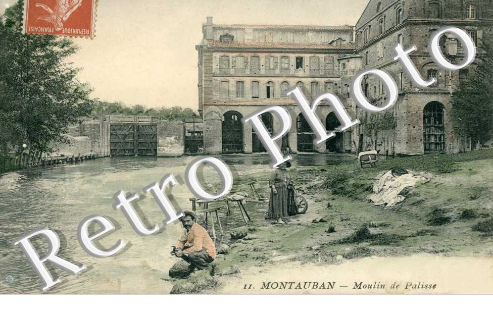 Moulin de palisse