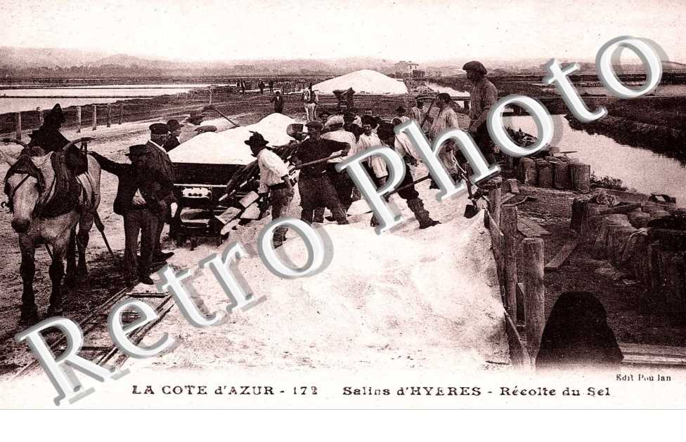 RECOLTE DU SEL 