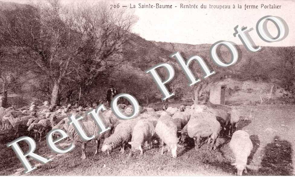 LA SAINTE BAUME RENTRE DU TROUPEAU a la ferme Portalier