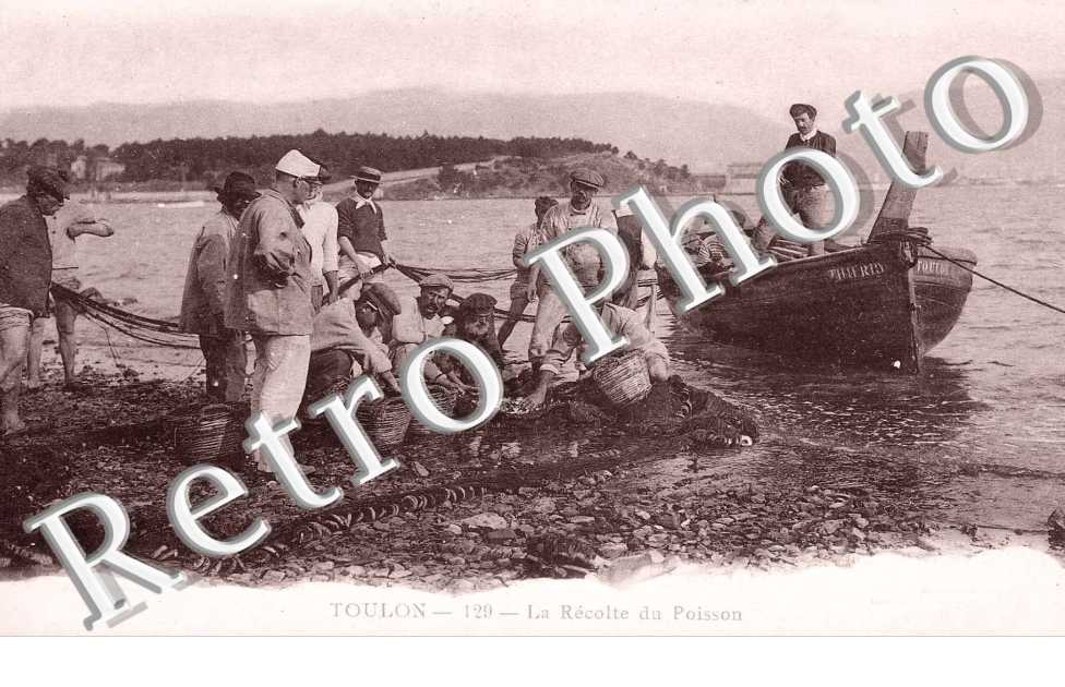 La Recolte du Poisson