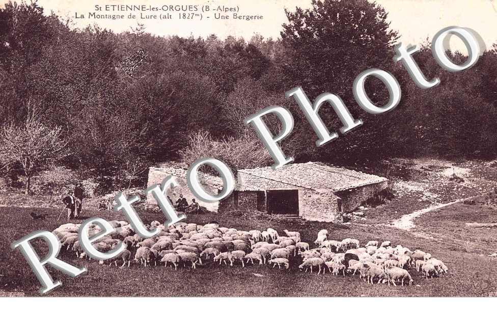 Une bergerie
