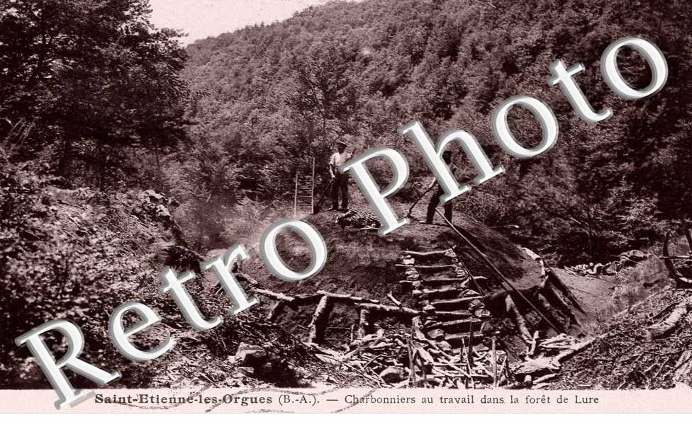 Charbonniers au travail dans la foret de Lure