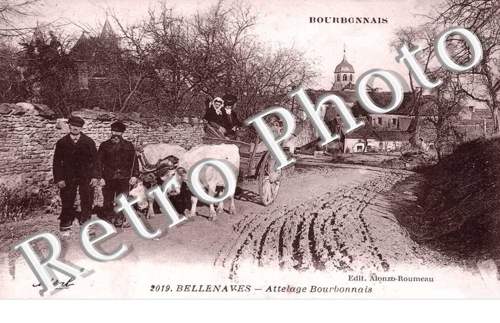 attelage bourbonnais