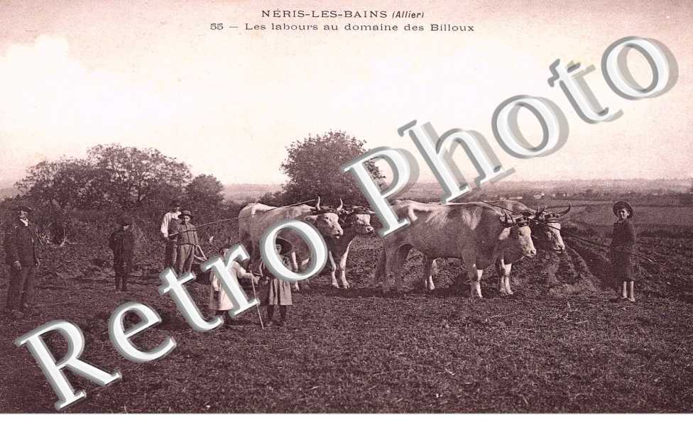 les labours au domaine des Billoux