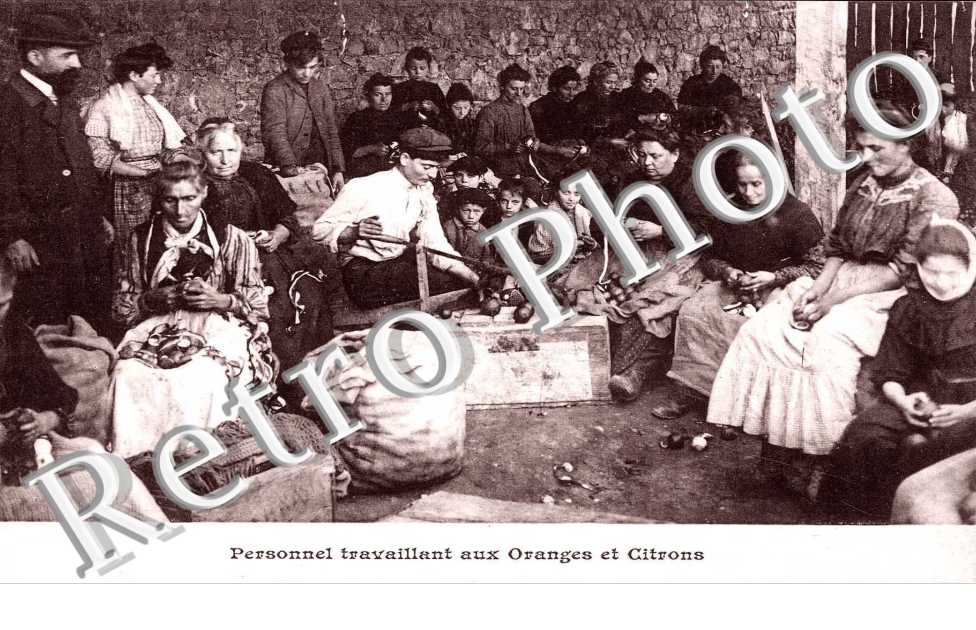 personnes travaillant aux oranges et citrons